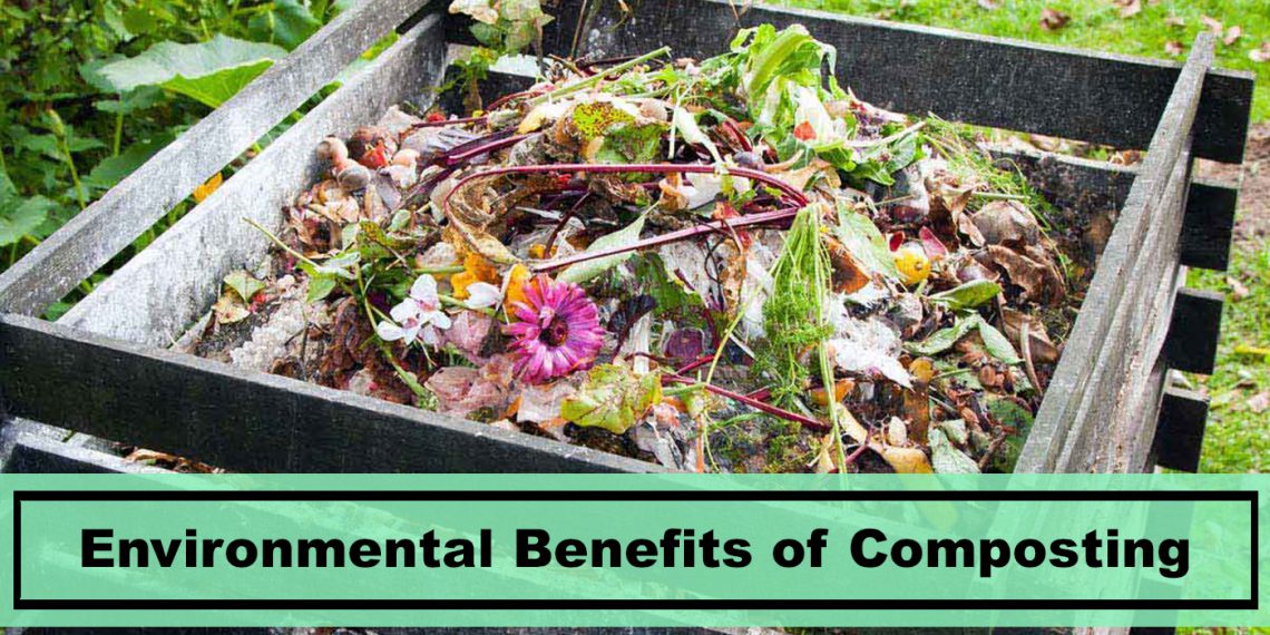 Environmental benefits of composting for indoor plants plants spark joy