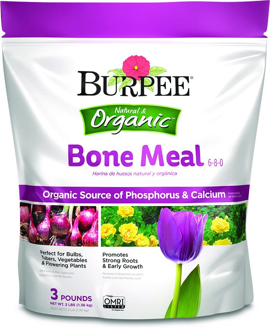 Bone Meal Fertilizer Benefits And What It Does To Plants Plants Spark Joy