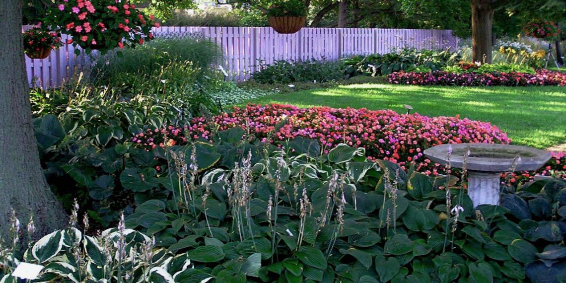 15 Shade Plants for Your Garden Best Plants That Grow Well In Shade