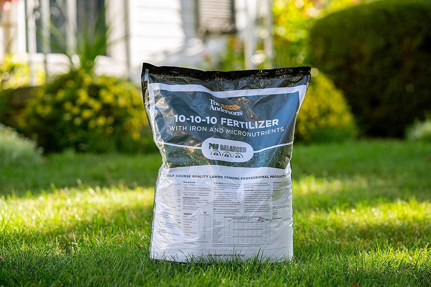 10-10-10 Fertilizer: What is it and how to use it for your plants 