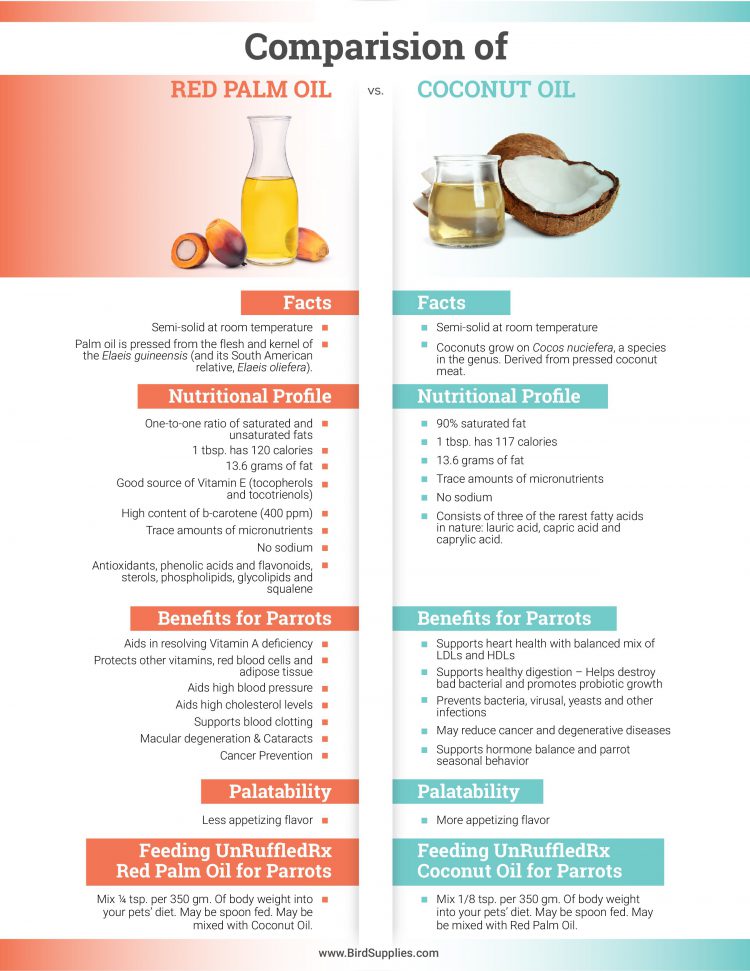 Palm Oil vs Coconut Oil What Are the Differences, Health Benefits, and