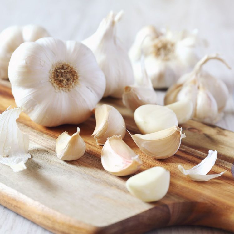 How to Store Fresh Garlic to Last Longer Plants Spark Joy